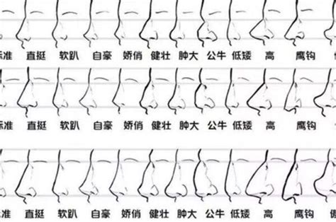 鼻子 面相|相学最有福气的7种鼻子 面相中最有福气的7种鼻子